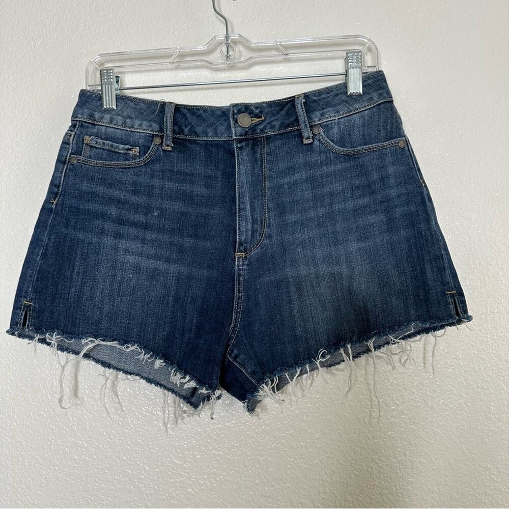 Paige Jimmy Jimmy Shorts size 29